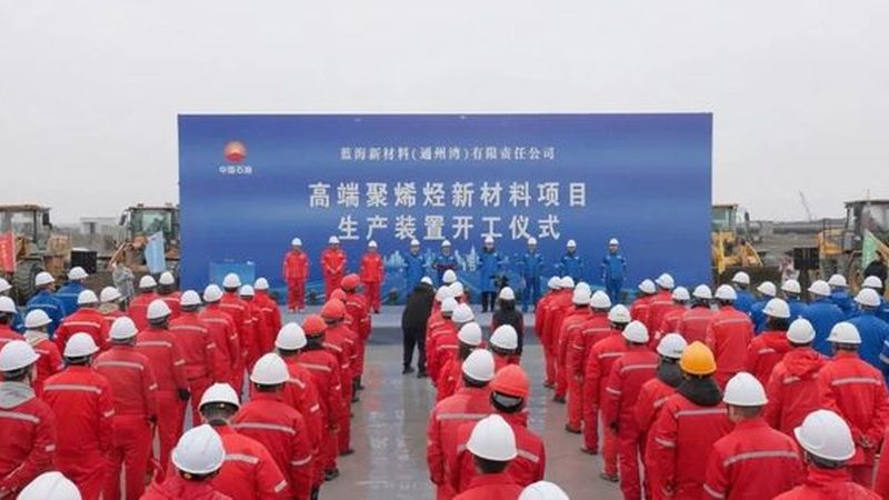 工业添加剂定制：如何确保品质与合规？**