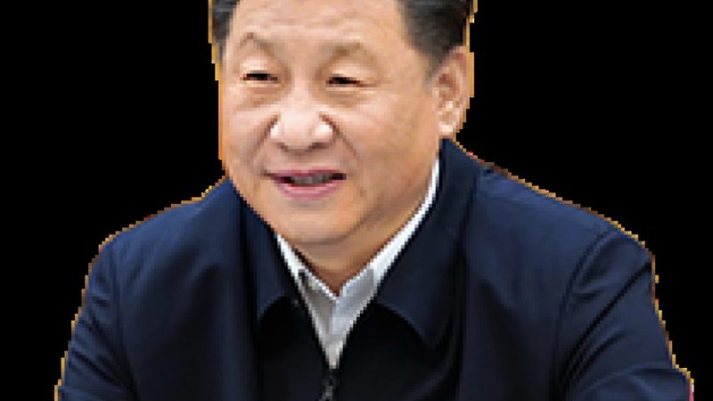食品乳化剂：揭秘常用材质及其应用